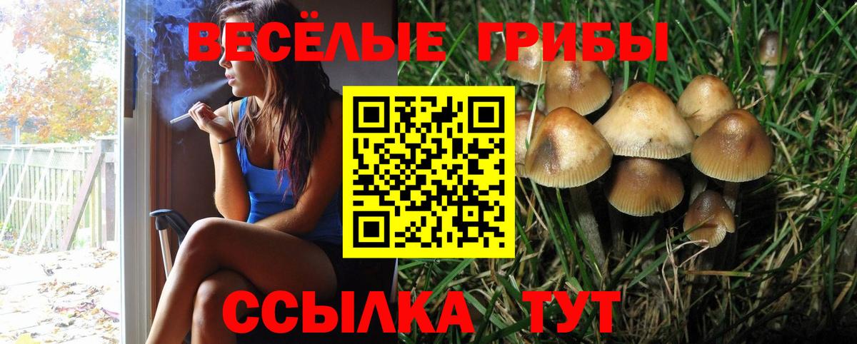 Галлюциногенные грибы мухоморы  Вход с VPN  купить наркоту  Златоуст  Галлюциногенные грибы мухоморы 
